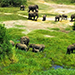 Nanya Tours and Travel