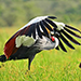 Nanya Tours and Travel