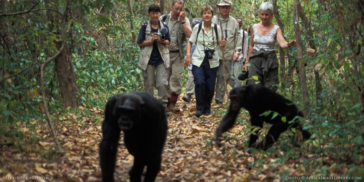 Nanya Tours & Travel